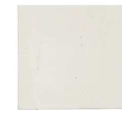 Obraz KWIATY 80 x 100 cm czarnobiały